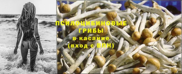 прущий лед Арсеньев