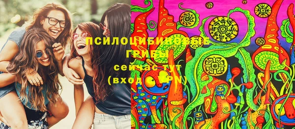 прущий лед Арсеньев