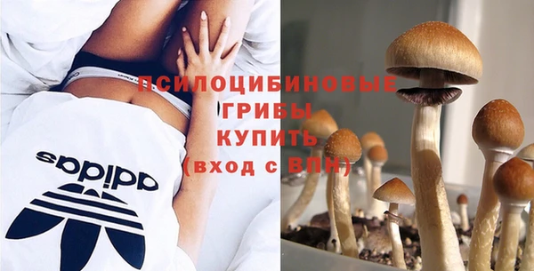прущий лед Арсеньев